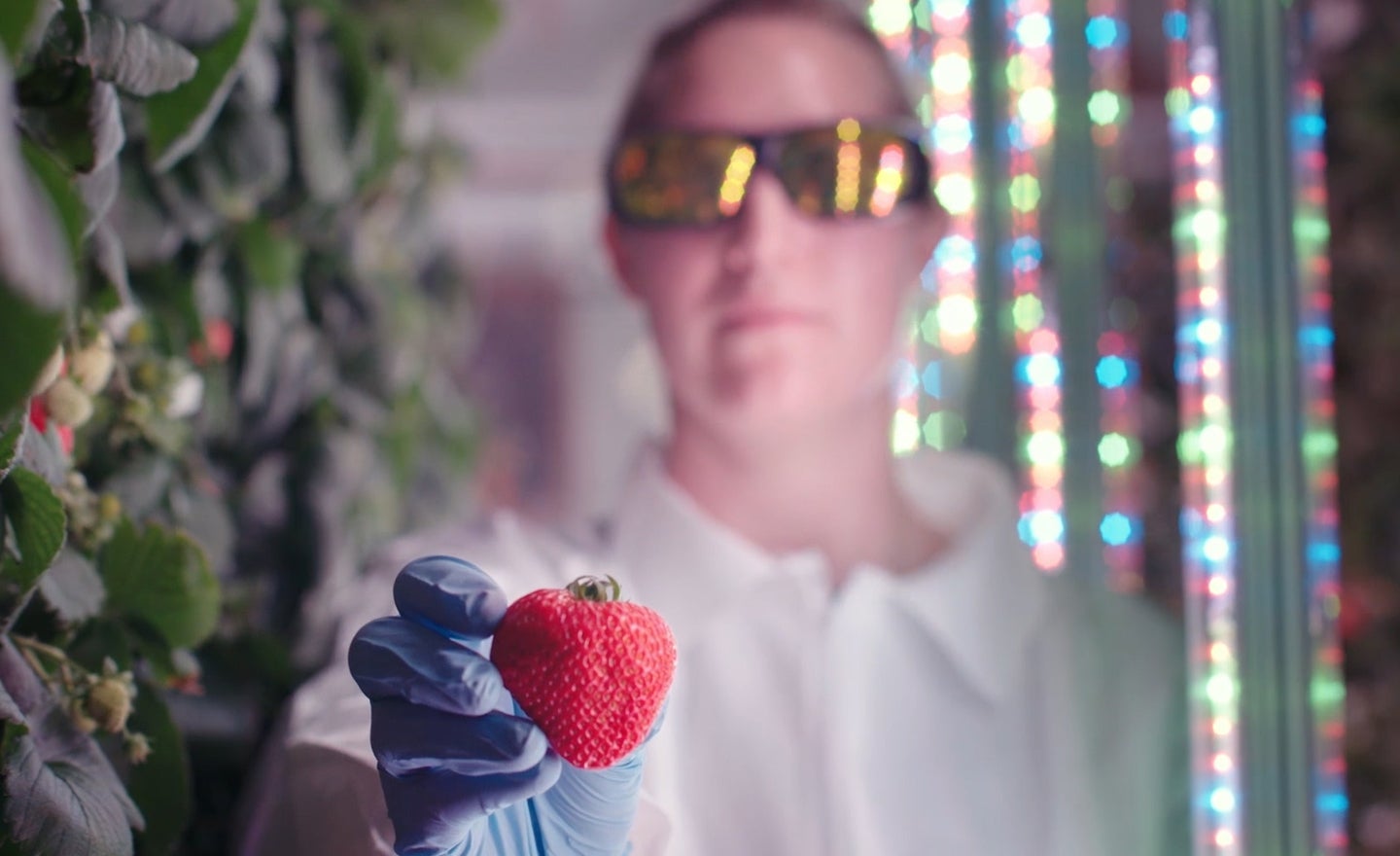 When you plant a farm in a city, it tastes like the future