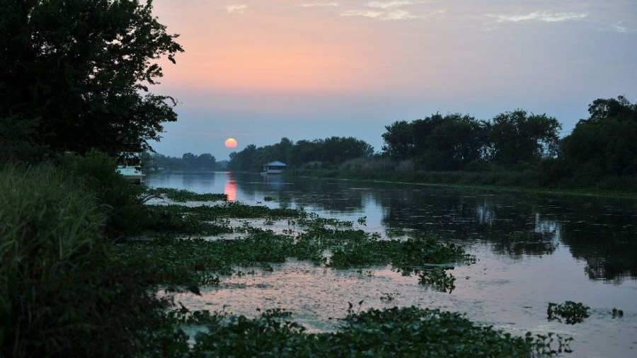 wetlands_conservation