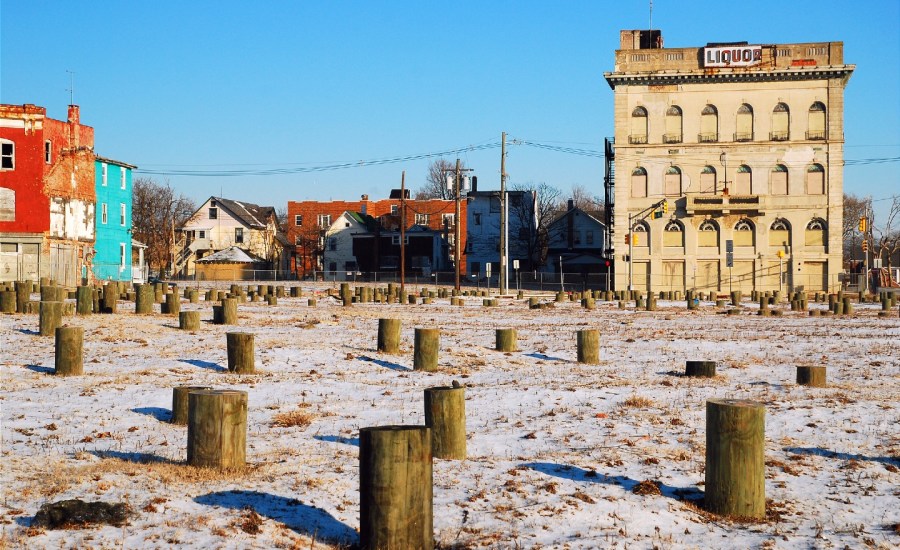 empty city lot with cut down trees