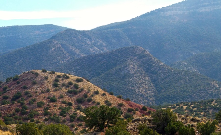 Placitas, New Mexico