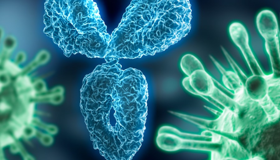 a generic antibody approaches a virus pathogen