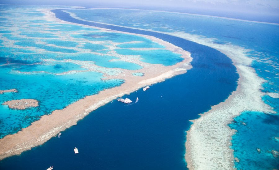 View from airplane over Great Barrier Reef where tidal channel separates Hardy and Hook Reef