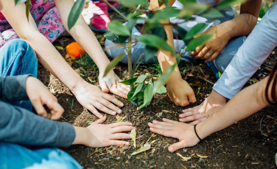 a group of people planting a tree