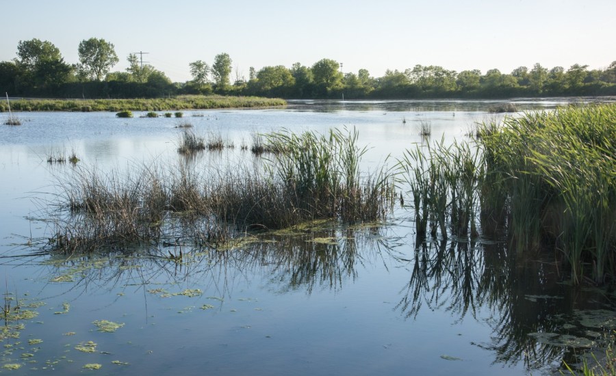 wetlands in illinois