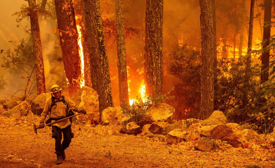 california oregon wildfires fire glass napa sonoma wine country northern california governor gavin newsom firefightrers 4 million acres state of emergency record climate change environment winds high temperatures 2020 30 dead