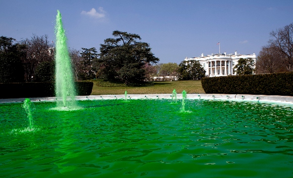 Green water in White House fountain