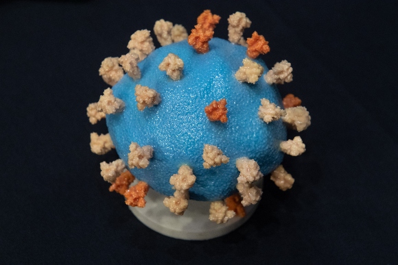 Coronavirus model