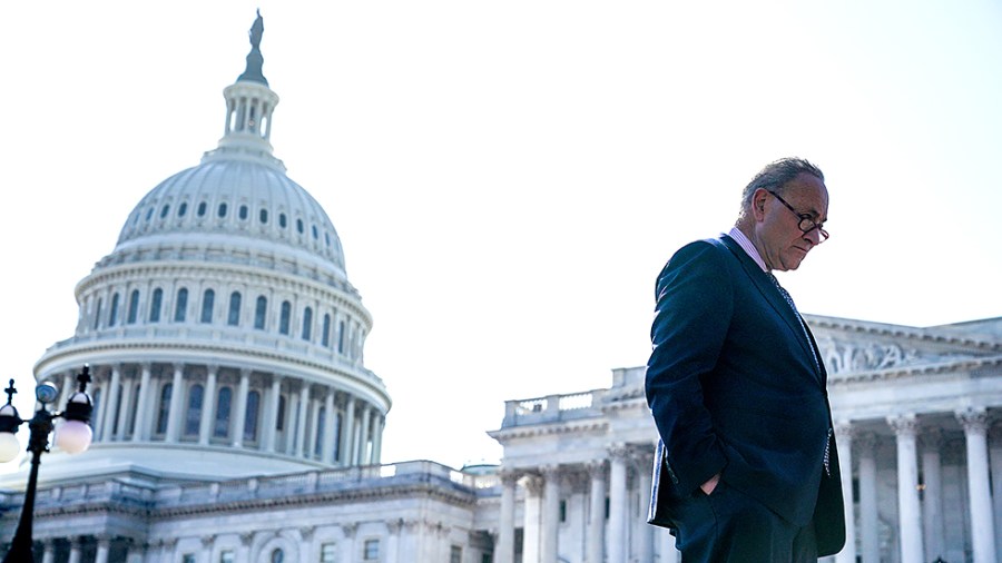 Majority Leader Charles Schumer (D-N.Y.)