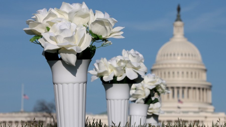 An art installation of 40,000 silk flowers is displayed on the National Mall