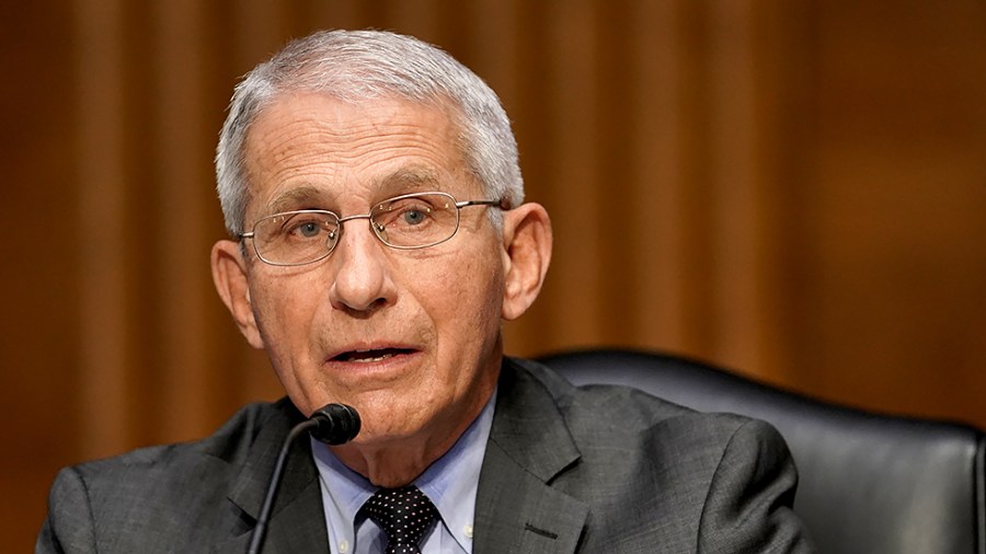 Dr. Anthony Fauci, director of the National Institute of Allergy and Infectious Diseases