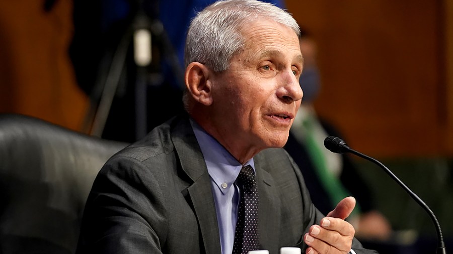 Dr. Anthony Fauci, director of the National Institute of Allergy and Infectious Diseases