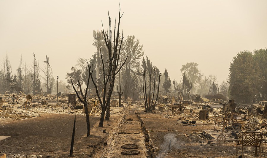 Aftermath of Oregon Fall 2020 wildfires