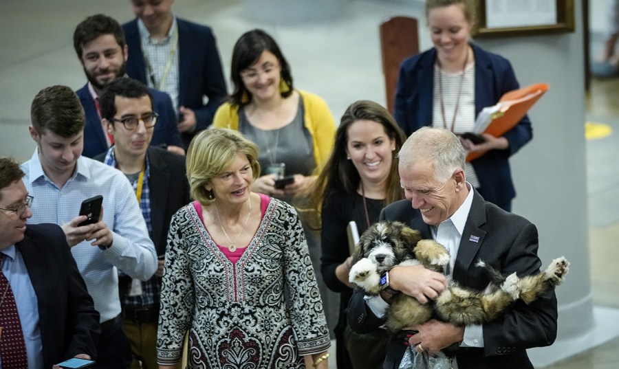 Sen. Thom Tillis with his dog, Theo