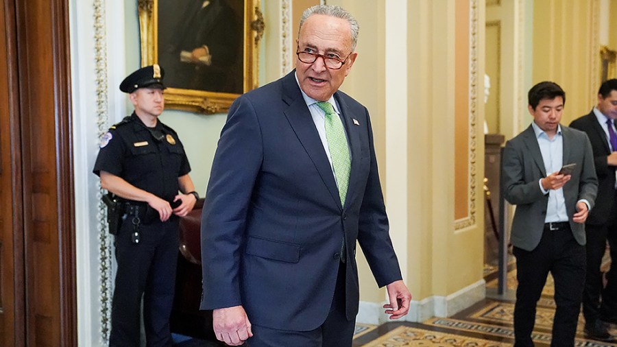 Majority Leader Charles Schumer (D-N.Y.) addresses reporters during the last of the vote of the day on June 24