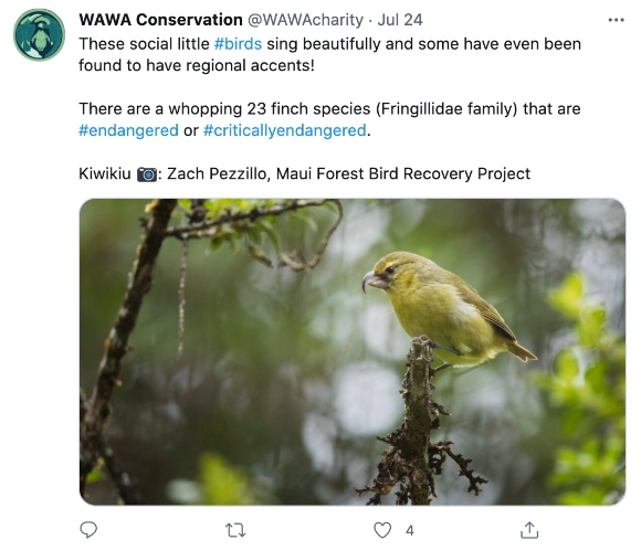 A tweet about endangered finches