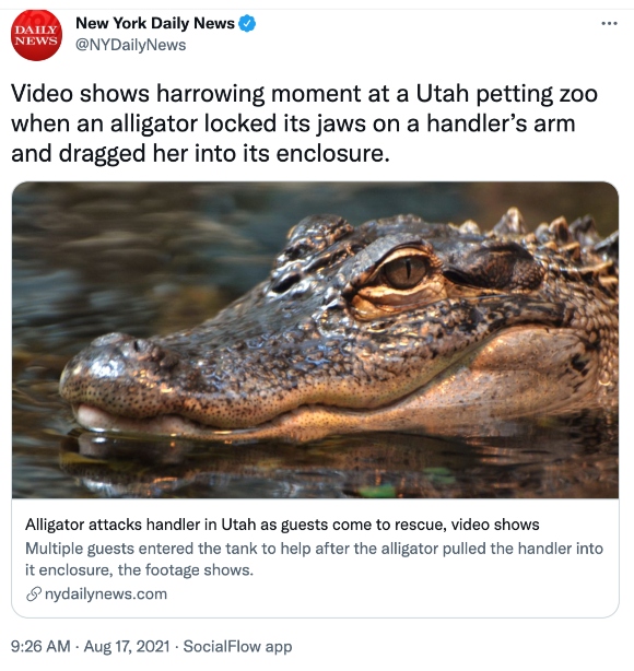 Video shows harrowing moment at a Utah petting zoo when an alligator locked its jaws on a handler’s arm