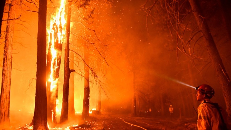 Kern County Fire Captain Bruce Wells keeps an eye on a burning tree as the wildfire burns closer to homes at night during the French Fire in the Sequoia National Forest