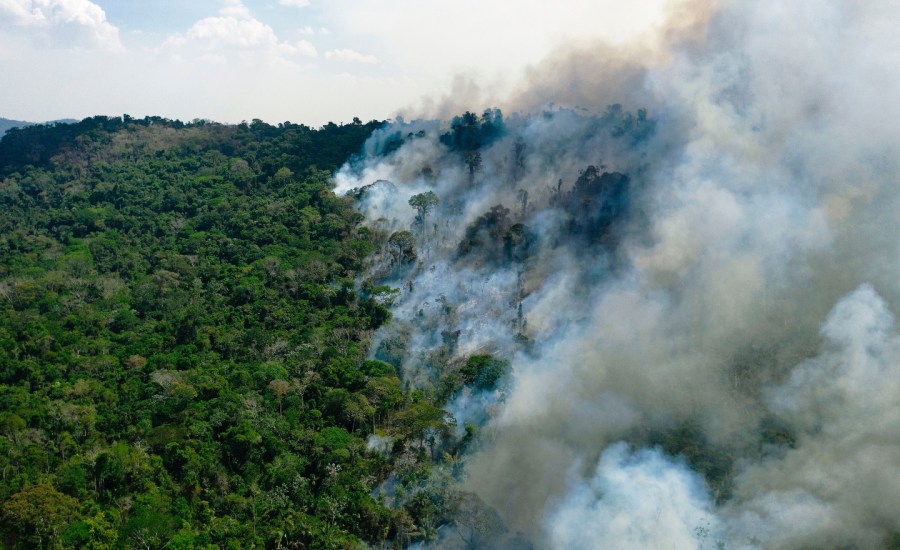 Aerial view of a burning area of Amazon rainforest reserve, south of Novo Progresso in Para state, on August 16, 2020.