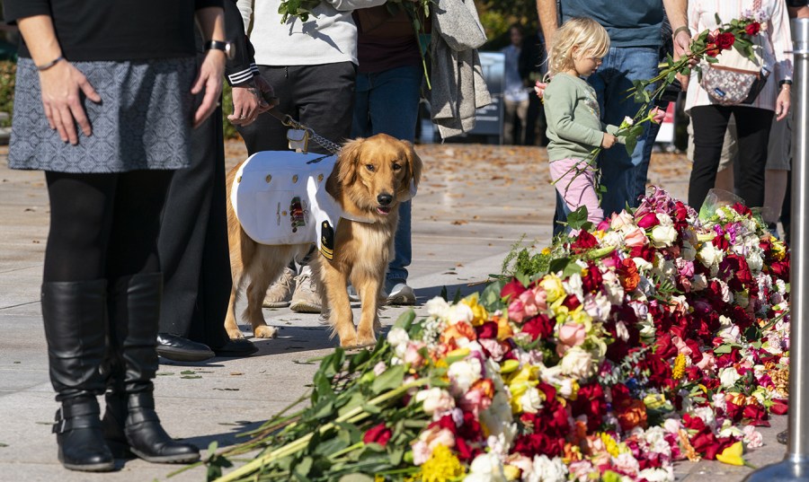 Lt. Cleo, the service dog with U.S. Navy Petty Officer 2nd Class Andrew Armstrong, walks as they place a flower on a larger bouquet