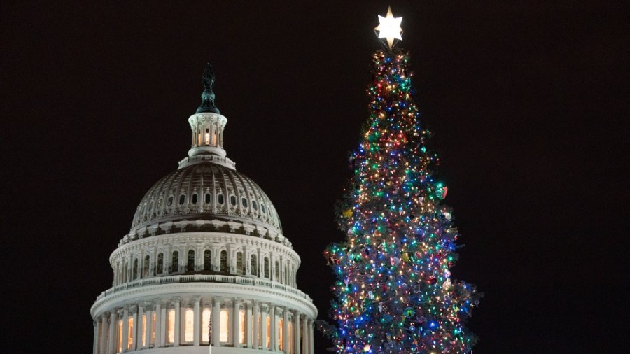 The Capitol Christmas Tree