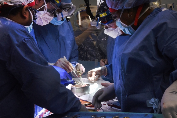 In this photo provided by the University of Maryland School of Medicine, members of the surgical team perform the transplant of a pig heart into patient David Bennett in Baltimore