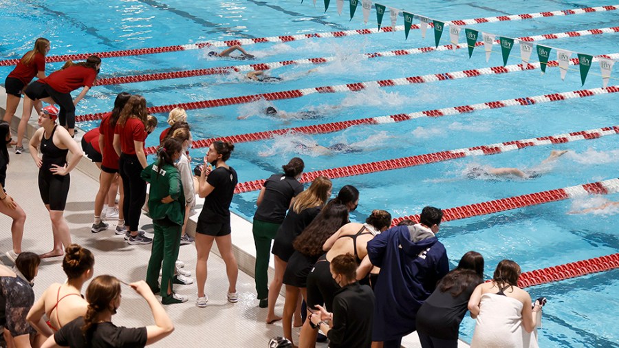 Supporters cheer as they watch swimmers compete