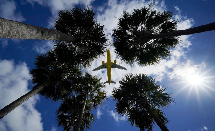 Airplane flying through trees.