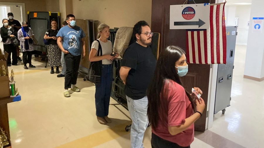 People stand in line to vote.