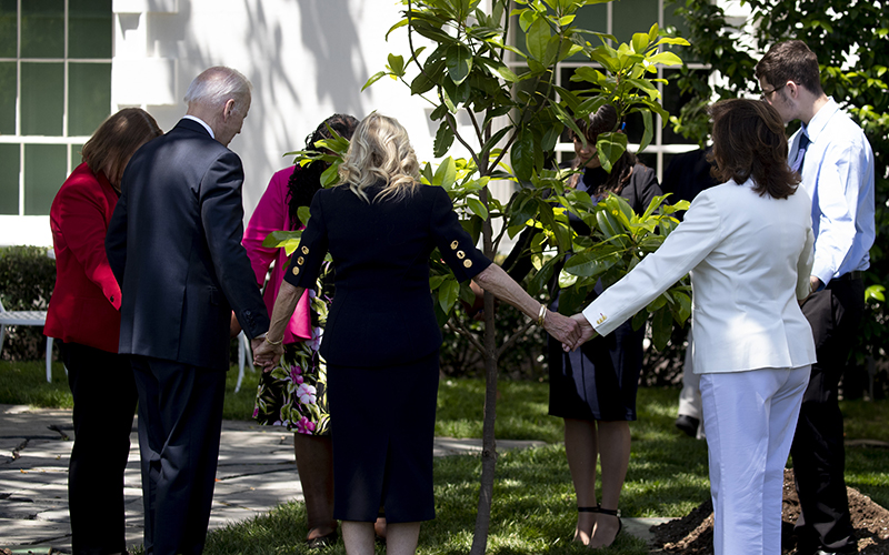 President Biden and first Lady Jill Biden hold hands with family members of U.S. service members around a freshly planted tree