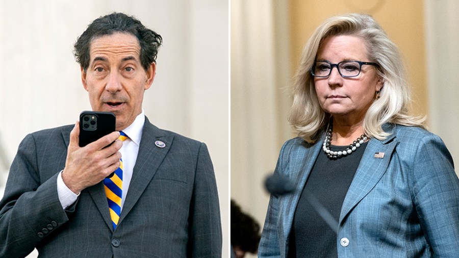 Reps. Jamie Raskin (D-Md.) and Liz Cheney (R-Wyo.)