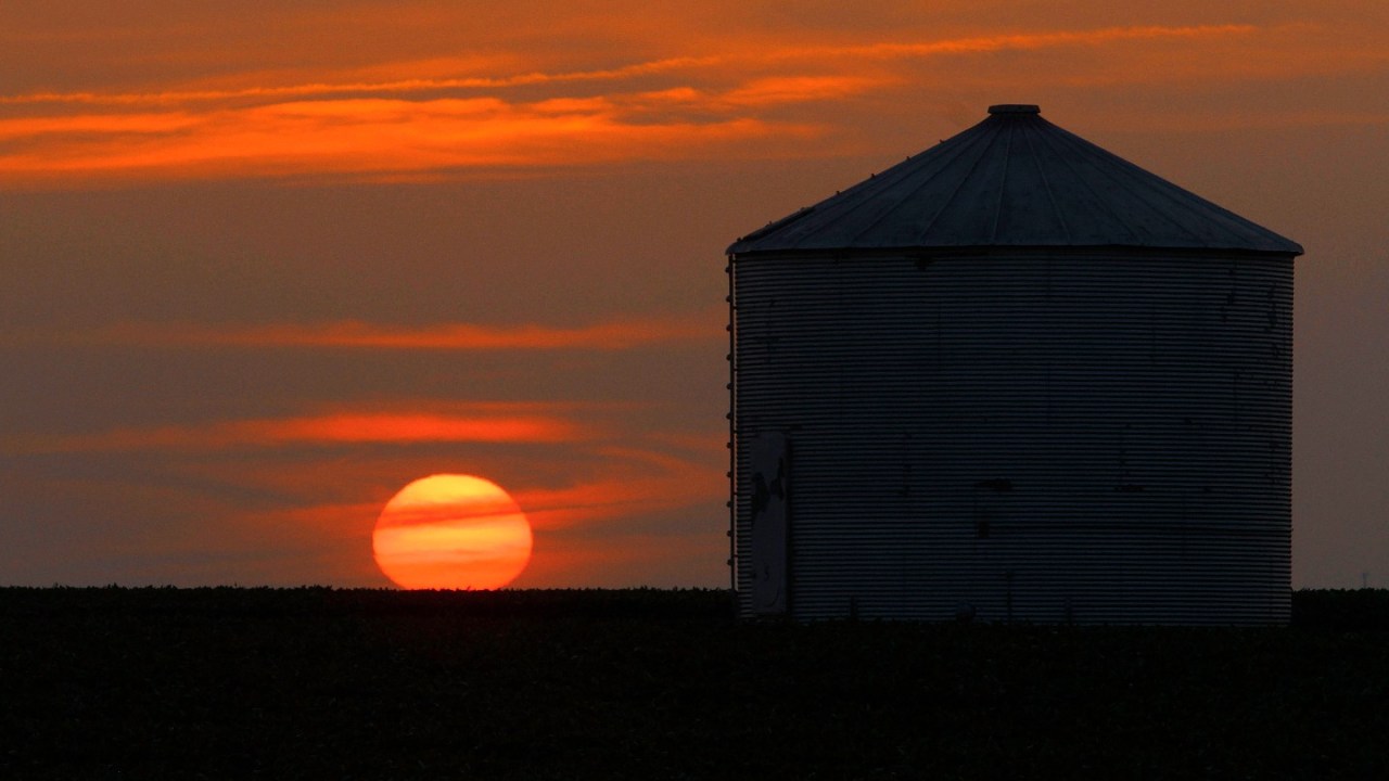 Heat wave on farm.