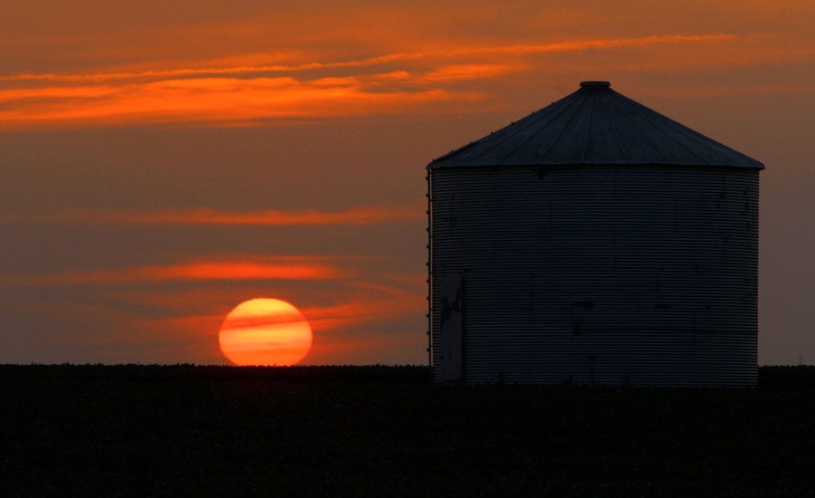 Heat wave on farm.