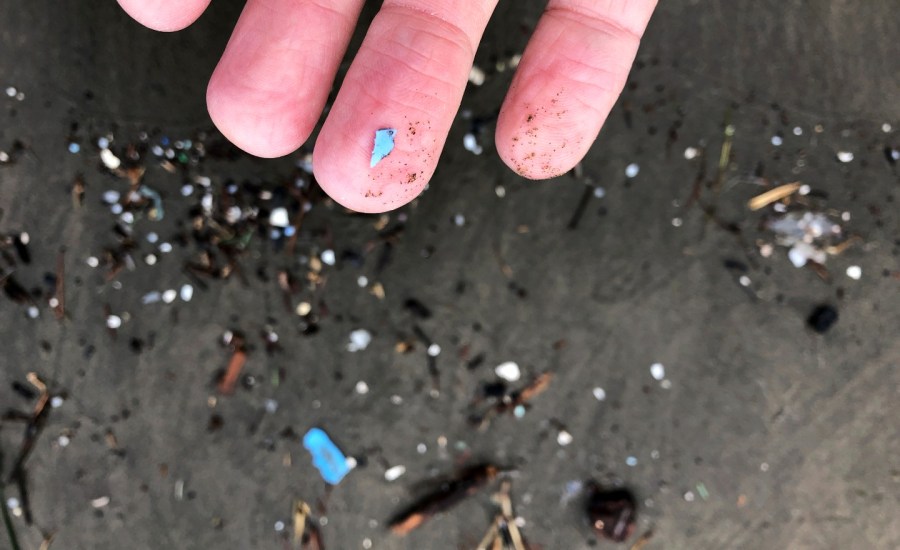 A person picks up a microplastic particle on a beach.