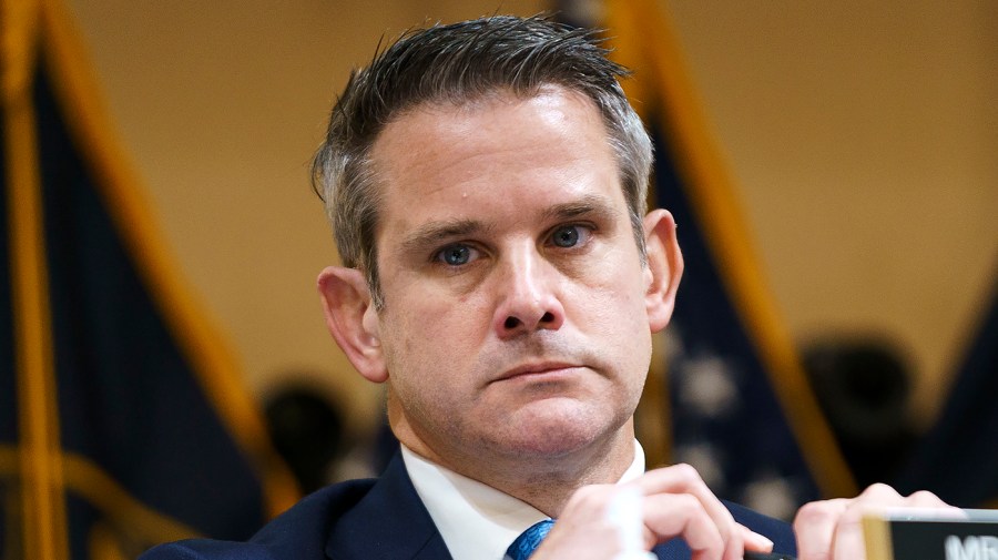 Rep. Adam Kinzinger (R-Ill.)