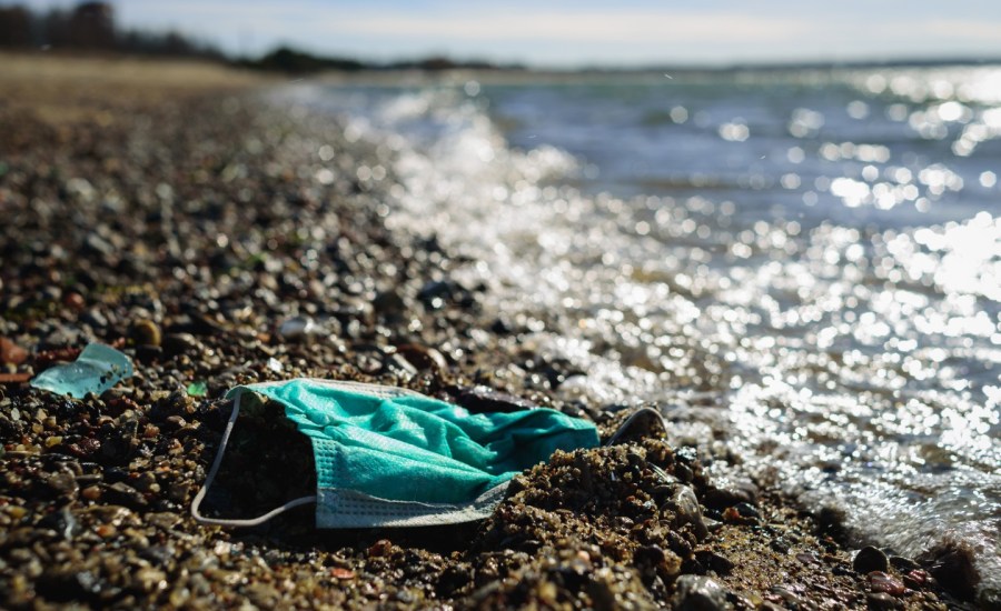 Masks wash up on shore.