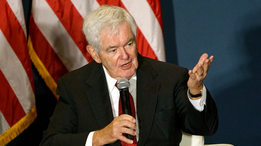 Former House Speaker Newt Gingrich (R-Ga.)