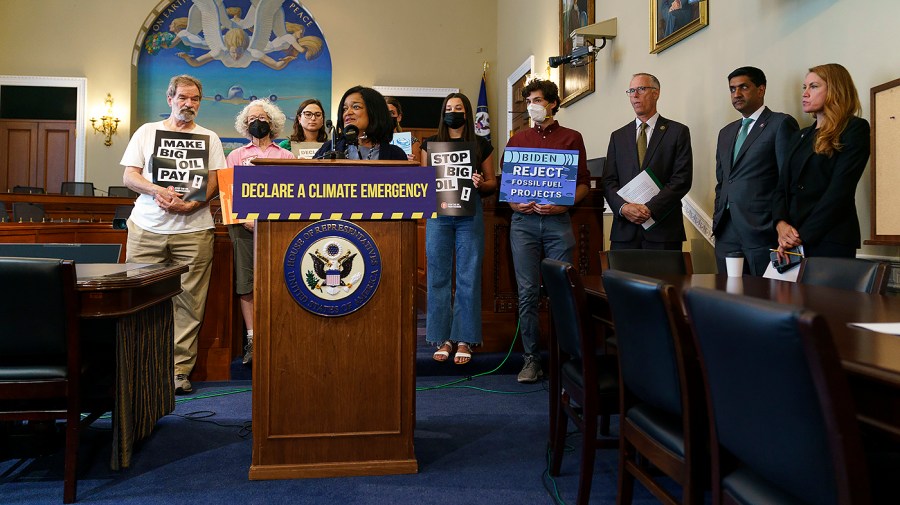 Rep. Pramila Jayapal (D-Wash.)