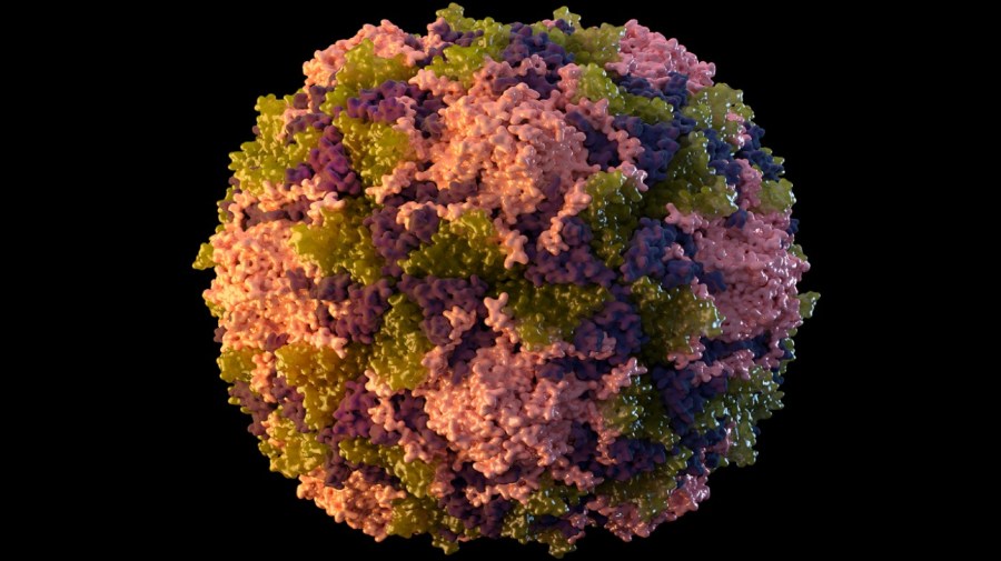 FILE - This 2014 illustration made available by the U.S. Centers for Disease Control and Prevention depicts a polio virus particle.