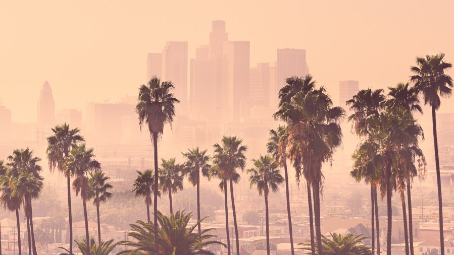 A hazy Los Angeles skyline, palm trees and buildings