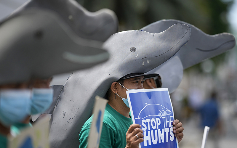 Demonstrators wearing dolphin hats rally outside the Japanese Embassy in Manila, Philippines