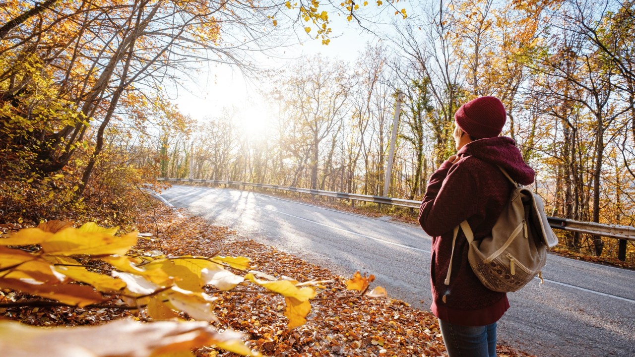 person looking down a road with trees in fall colors, light shining down