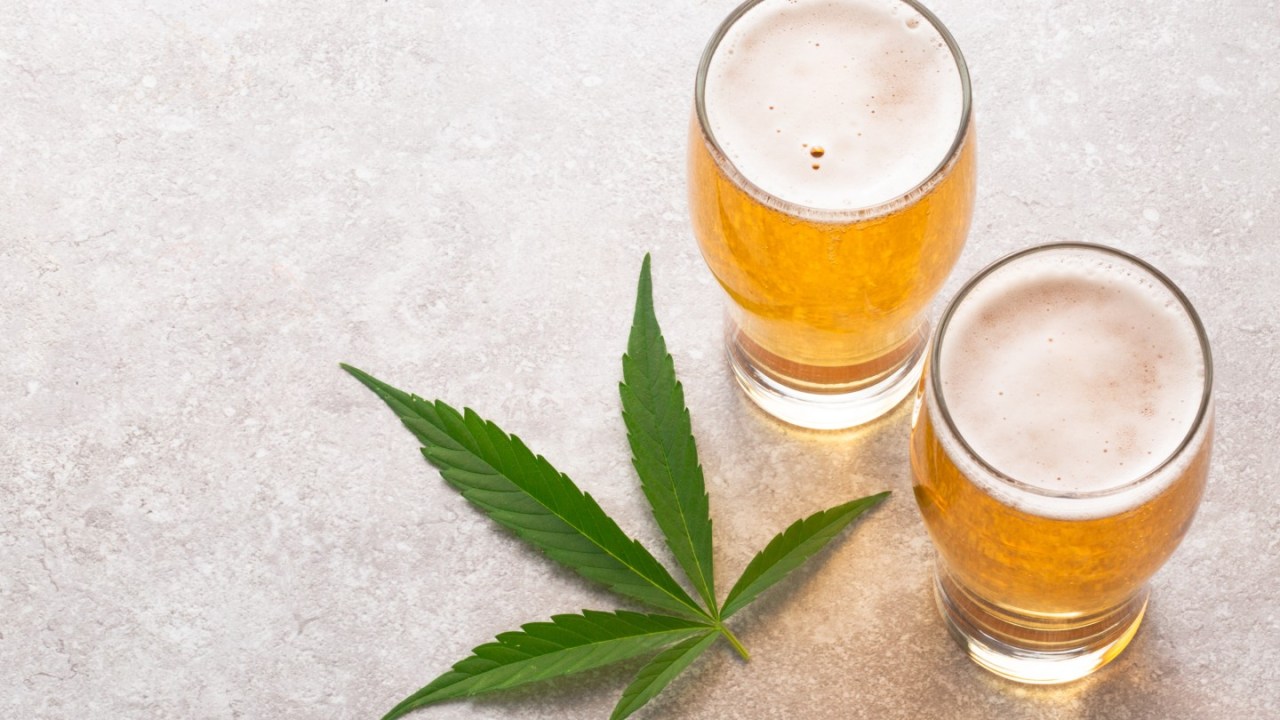 Marijuana leaf and glasses of beer.