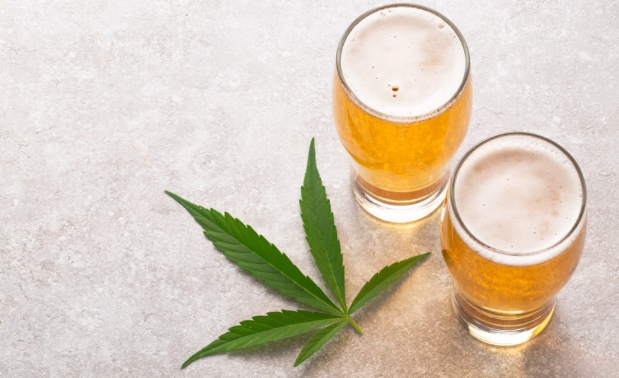 Marijuana leaf and glasses of beer.