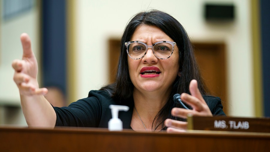 Rep. Rashida Tlaib (D-Mich.)