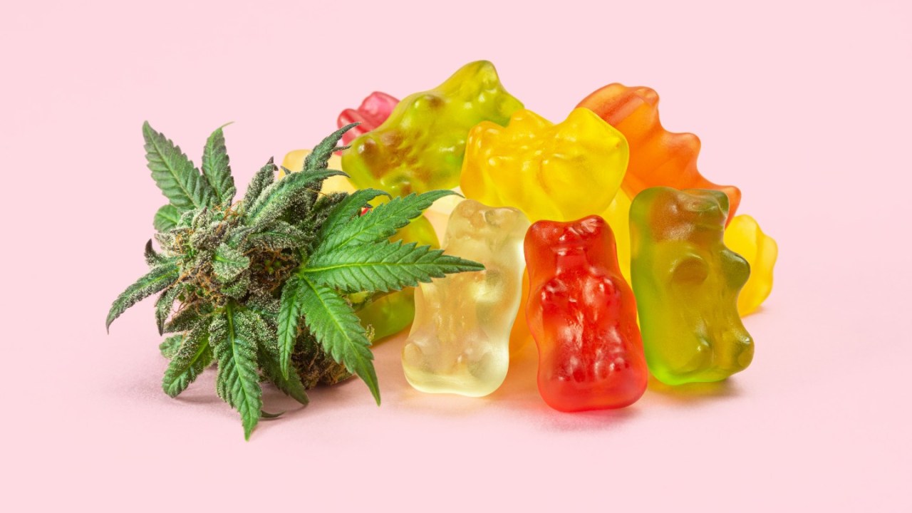 Cannabis gummies.