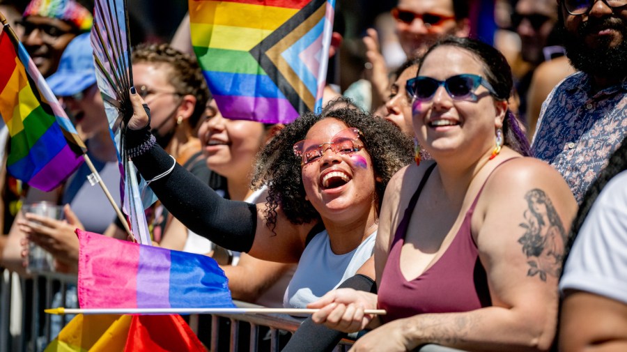 People cheer and wave flags during a New York City Pride March.