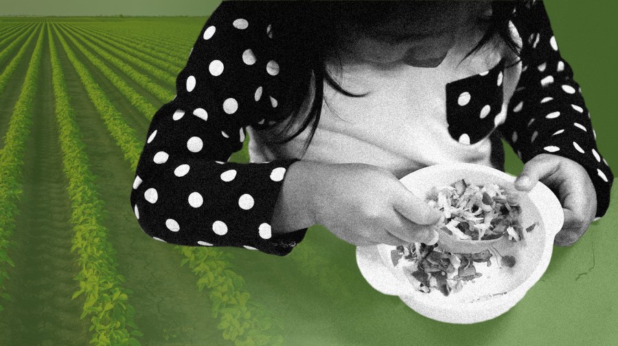 In the foreground is a black and white image of a child eating salad from a bowl, and in the background is a green-tinted photo of a farmfield