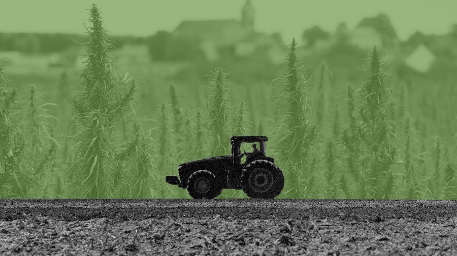 A tractor is seen in the foreground over a green-tinted photo of a hemp field