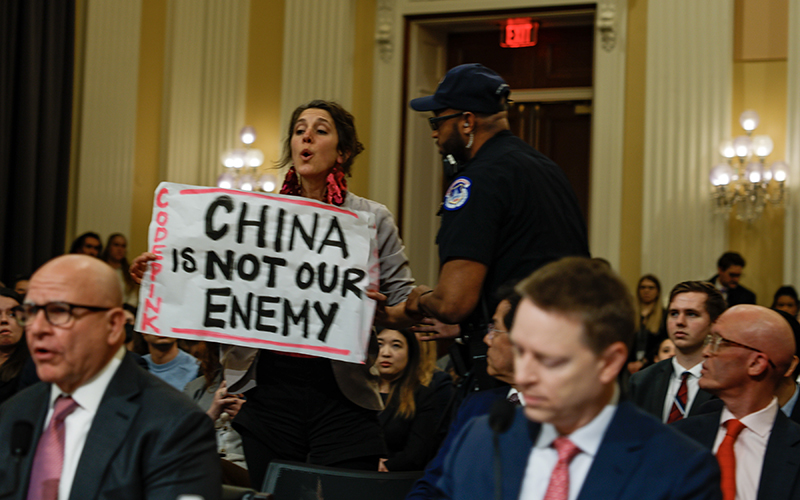 A protester waving a sign interrupts proceedings during committee proceedings