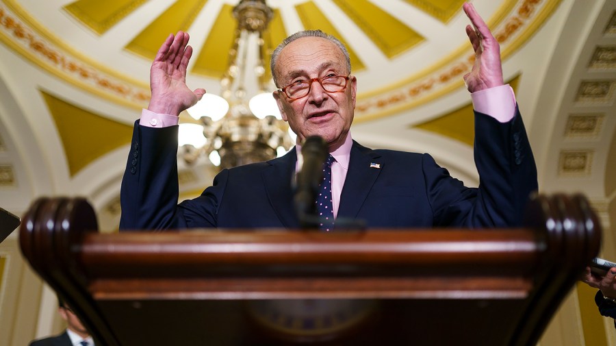 Majority Leader Charles Schumer (D-N.Y.)